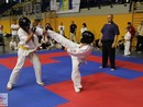 XVII. Bushido Kupa