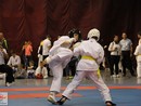 XVII. Bushido Kupa
