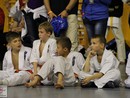XVII. Bushido Kupa