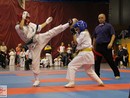 XVII. Bushido Kupa