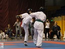 XVII. Bushido Kupa