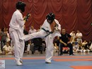 XVII. Bushido Kupa