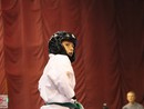 XVII. Bushido Kupa