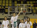 XVII. Bushido Kupa