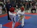 Kyokushin Karate Knock-Down Diákolimpia