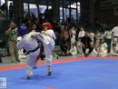 Kyokushin Karate Knock-Down Diákolimpia