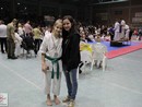 Kyokushin Karate Knock-Down Diákolimpia