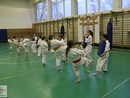 dzés képekben