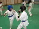 Utánpótlás küzdő edzés a Full-Contact Teamnél