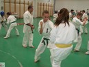 Utánpótlás küzdő edzés a Full-Contact Teamnél