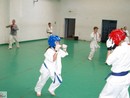 Utánpótlás küzdő edzés a Full-Contact Teamnél