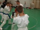 Utánpótlás küzdő edzés a Full-Contact Teamnél