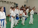 Utánpótlás küzdő edzés a Full-Contact Teamnél