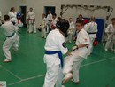 Utánpótlás küzdő edzés a Full-Contact Teamnél
