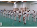 Utánpótlás küzdő edzés a Full-Contact Teamnél