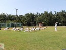 IBK Summer Camp