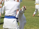 IBK Summer Camp