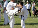 IBK Summer Camp