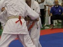 I. IBKHF Bajnokság
