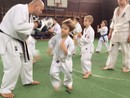 II. Fudoshin Őszi tábor