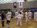 II. Hinomoto Kupa