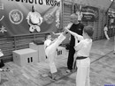 II. Hinomoto Kupa