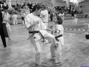 II. Hinomoto Kupa