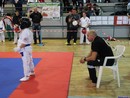 II. Hinomoto Kupa