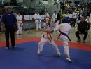 II. Hinomoto Kupa