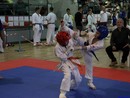 II. Hinomoto Kupa