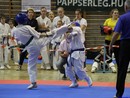 II. Hinomoto Kupa
