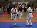 II. Hinomoto Kupa