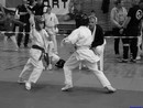 II. Hinomoto Kupa