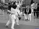 II. Hinomoto Kupa