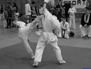 II. Hinomoto Kupa