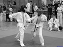 II. Hinomoto Kupa