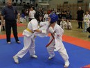 II. Hinomoto Kupa