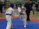 II. Hinomoto Kupa