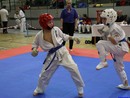 II. Hinomoto Kupa