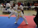 II. Hinomoto Kupa