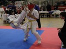 II. Hinomoto Kupa