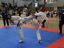 II. Hinomoto Kupa