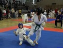 II. Hinomoto Kupa