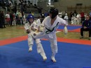 II. Hinomoto Kupa