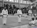 II. Hinomoto Kupa