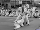 II. Hinomoto Kupa