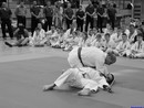 II. Hinomoto Kupa