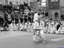 II. Hinomoto Kupa