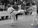 II. Hinomoto Kupa