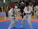 II. Hinomoto Kupa